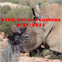 STOP RHINO POACHING