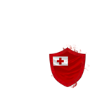 Tonga in the RWC 2011