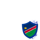 Namibia in the RWC 2011