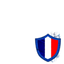 France in the RWC 2011