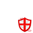England in the RWC 2011