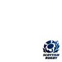 RBS Flower of Scotland