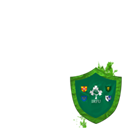 Ireland in the RWC 2011