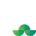 Smarter Commerce