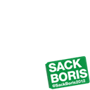 SACK BORIS 2012 - Green