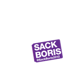 SACK BORIS 2012 - Purple