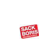 SACK BORIS 2012