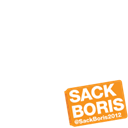 SACK BORIS 2012 - Orange