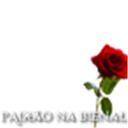Paixão na Bienal