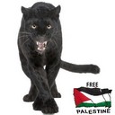 mayangrl