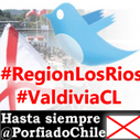 valdivianos