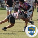 rinonumero7