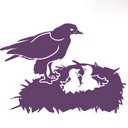 TheBabyCrow
