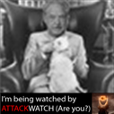 ChrisBarnhart