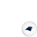 Carolina Panthers