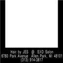 Michigan Blogger Hair