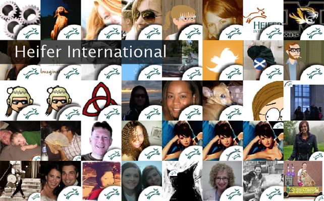 Heifer International Twibute 50