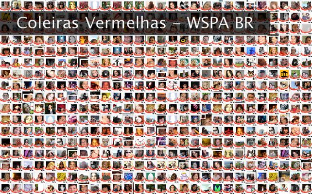 Coleiras Vermelhas - WSPA BR Twibute 500