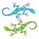 dotlizard