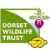 DorsetWildlife