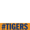 Freep.com Go Tigers Campaign