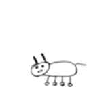 usi