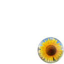 sunflower  for Rain