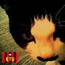u_ilya