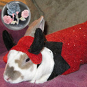 TonyaUnleashed