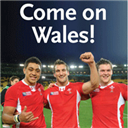 Come on Wales!