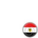 Support Egyptian Protesters