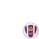 FC Erzgebirge Aue