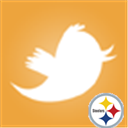 NFLMX