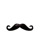 Moustache Xv de France