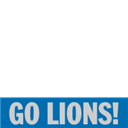 Freep.com Go Lions campaign