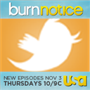 BurnNotice_USA