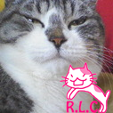 madame_sachi