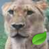 EcoSteward