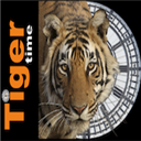 Tiger Time Now