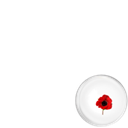 Poppy Day