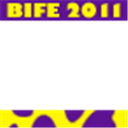 BIFE 2011 - ECA USP