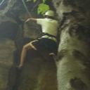 alexshenoy