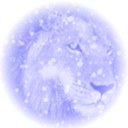 lionsinwinter