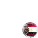 #FreeAlaa Adb el-Fatah!