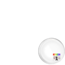 Autistics Speaking Day