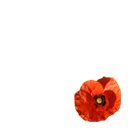 Canada Remembers