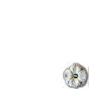 White poppies for peace