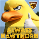 HawthornFC