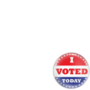 I voted