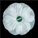 The White Poppy for Peace